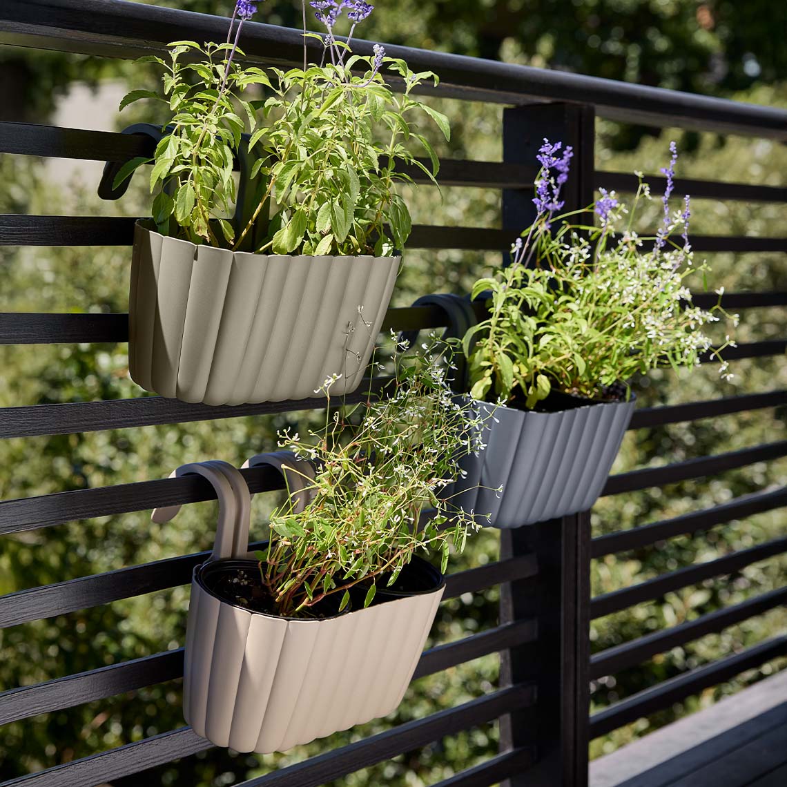 Ratgeber: Blumentöpfe für Garten & Balkon