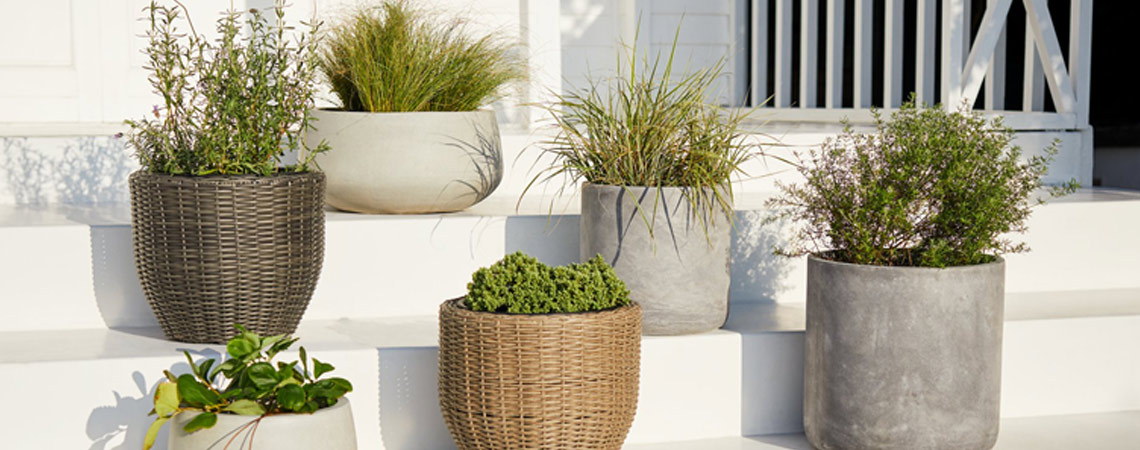 5 Ideen für eine grüne Terrasse